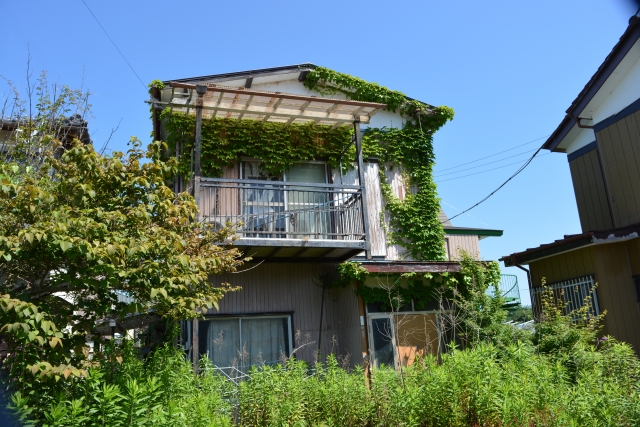 伐採事例写真-高崎市で伐採なら富澤造園まで！－群馬県全域対応可能