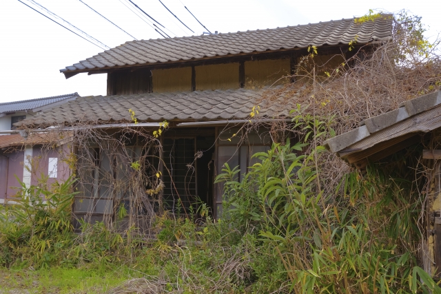 伐採事例写真-高崎市で伐採なら富澤造園まで！－群馬県全域対応可能