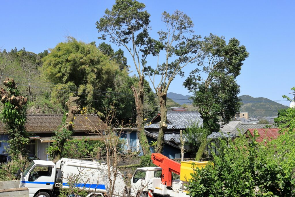 高崎市の富澤造園：抜根事例