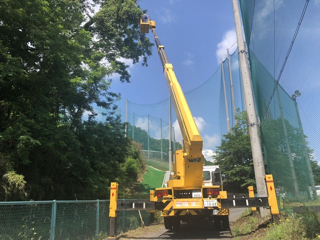 伐採事例写真-高崎市で伐採なら富澤造園まで！－群馬県全域対応可能