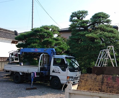 伐採事例写真-高崎市で伐採なら富澤造園まで！－群馬県全域対応可能