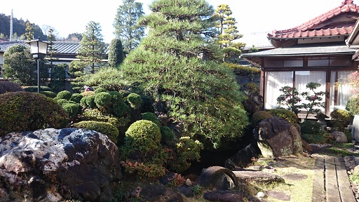 高崎市で剪定なら富澤造園まで！