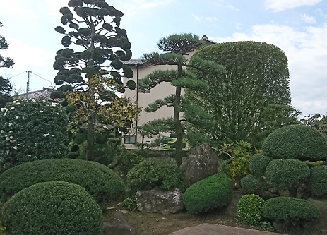 高崎市で剪定なら富澤造園まで！