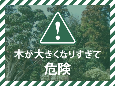 木が大きくなりすぎて危険なら伐採!:富澤造園