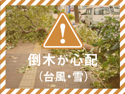 倒木が心配なら当社まで:高崎市の富澤造園