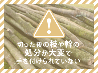 切った後の枝や幹が大変なら当社まで:高崎市の富澤造園