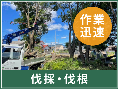 伐採・伐根なら高崎市の富澤造園まで