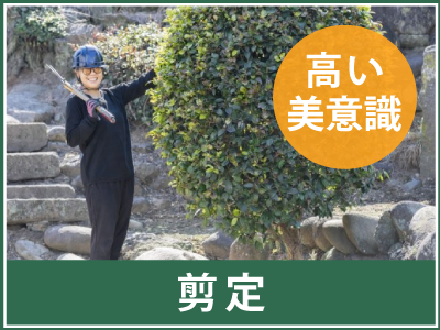剪定のことなら高崎市の富澤造園まで