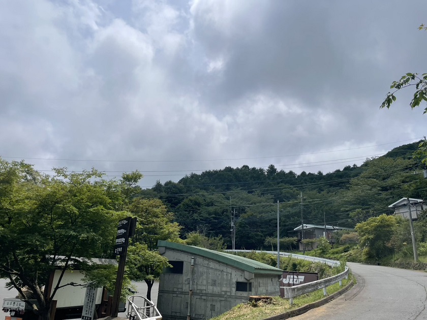 群馬県高崎市で一部腐食した松の危険木伐採